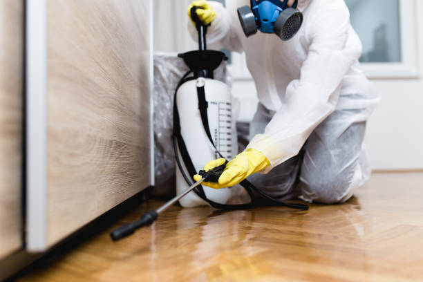 Pest Control for Restaurants in Mineral Springs, NC
