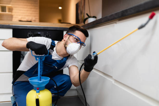 Reliable Mineral Springs, NC Pest Control Solutions