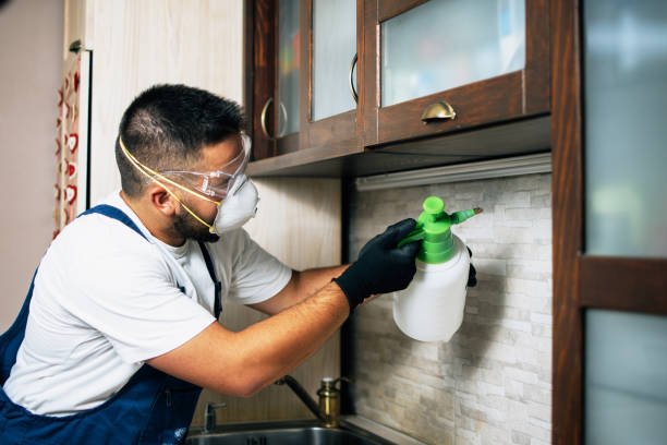 Best Pest Inspection Near Me  in Mineral Springs, NC