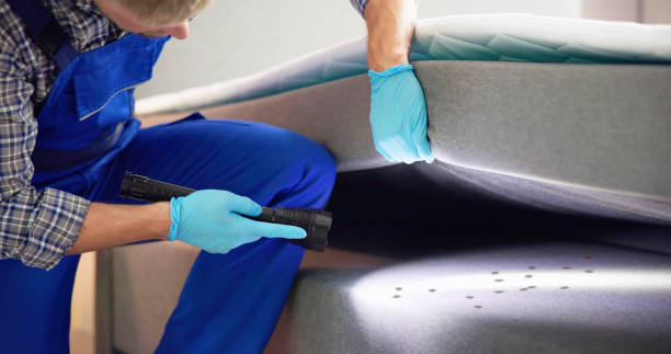 Best Emergency Pest Control  in Mineral Springs, NC