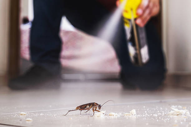 Best Mosquito Control Services  in Mineral Springs, NC