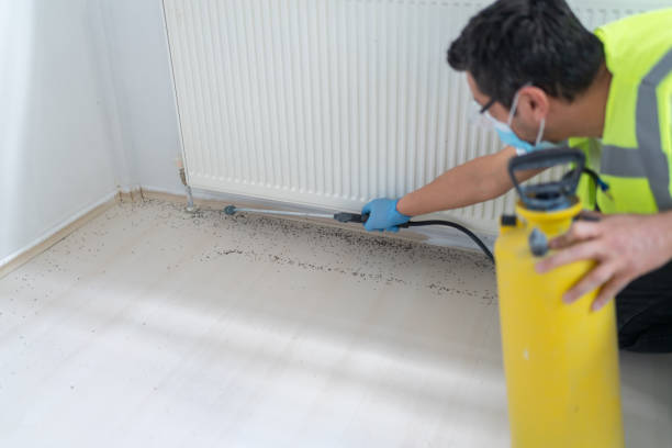 Best Affordable Pest Control Services  in Mineral Springs, NC