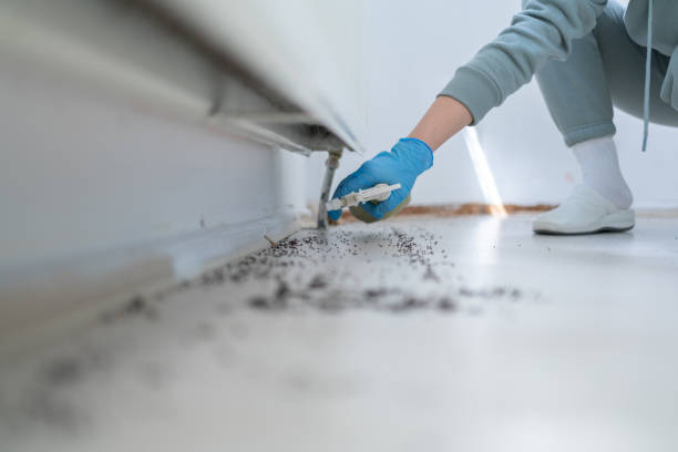 Best Rat Extermination Near Me  in Mineral Springs, NC