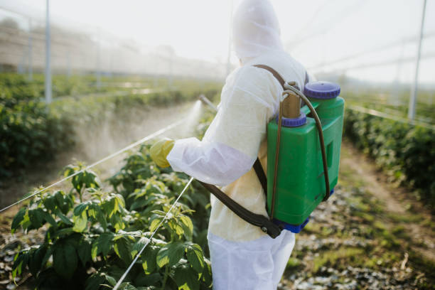  Mineral Springs, NC Pest Control Pros
